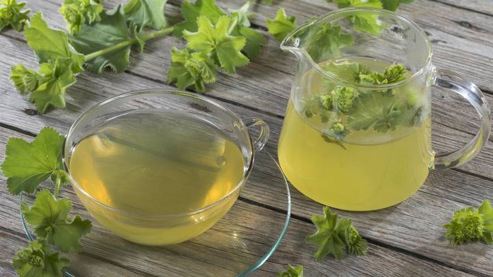 Зеленый чай как средство от холестерина и болезней